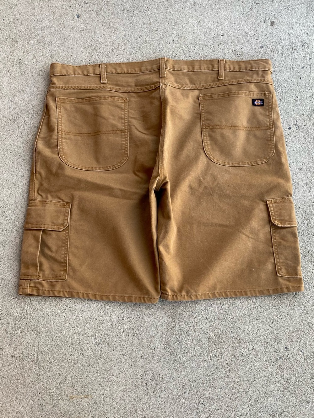 Dickies Canva Shorts